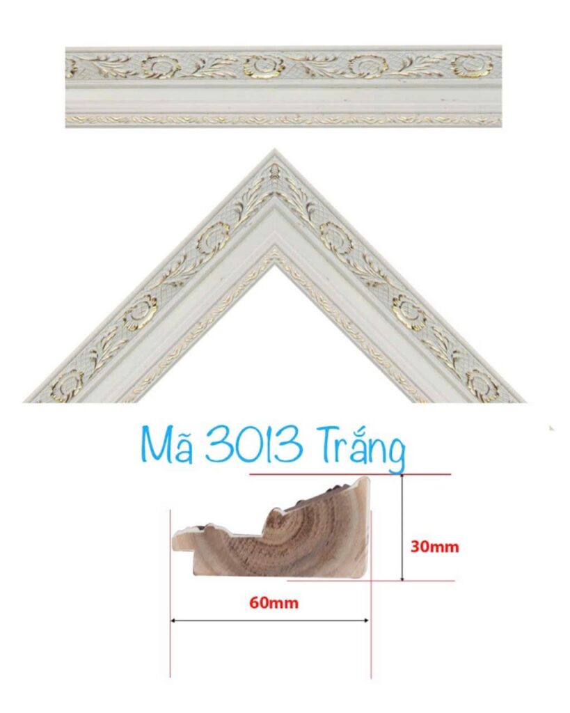 khung tranh 3013