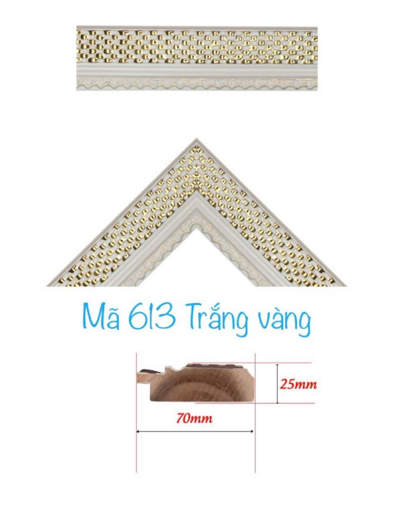 khung tranh 613