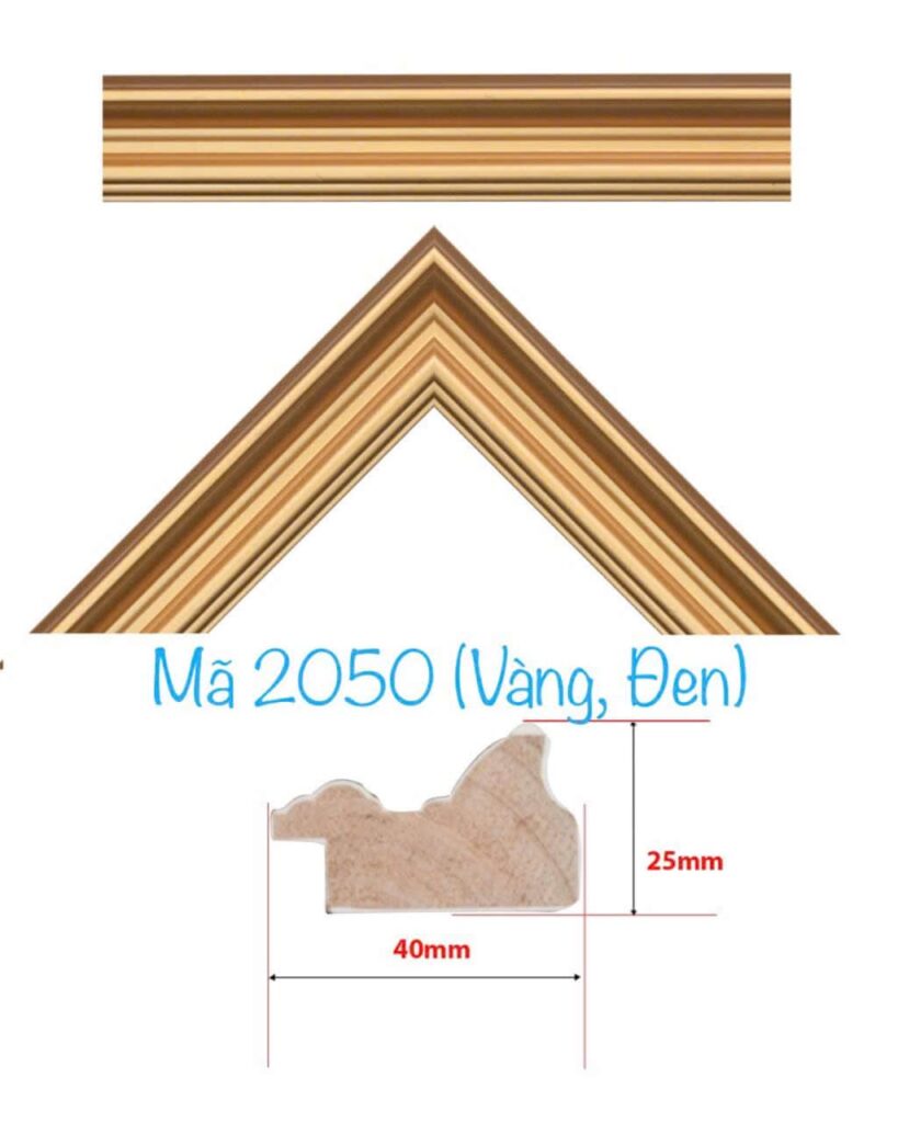 khung tranh 2050